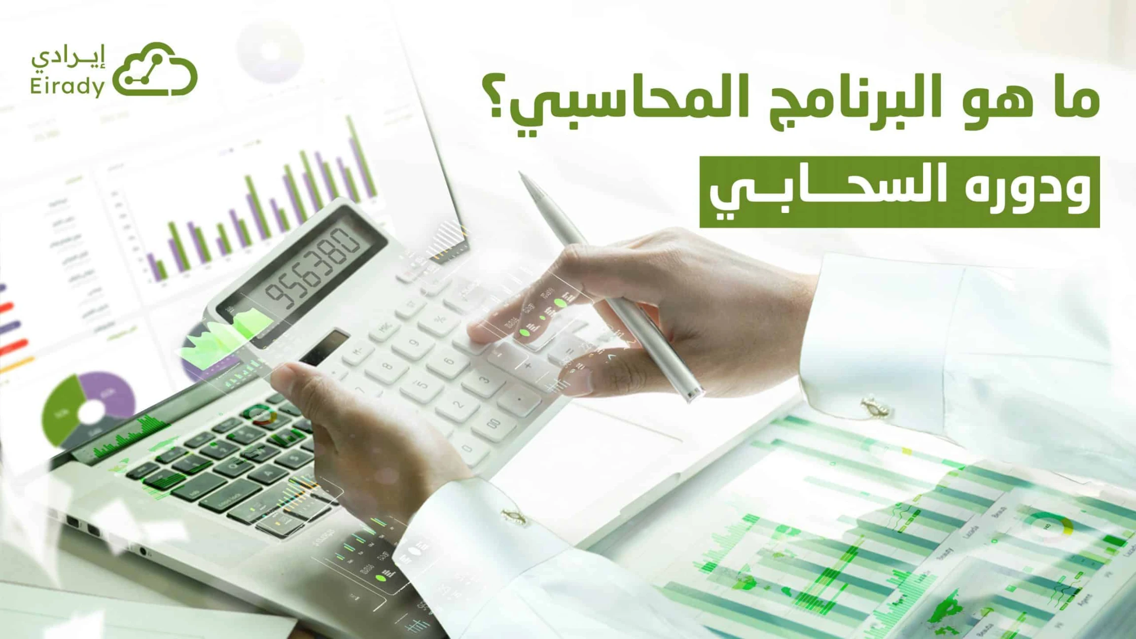 البرنامج المحاسبي